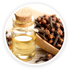 Clove Bud Oil ingredient photo